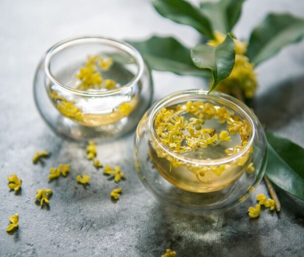 桂花青茶